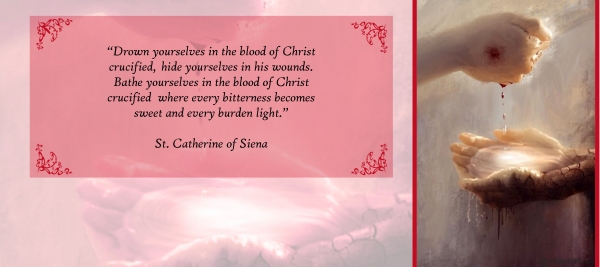 Solemnity of the Most Precious Blood of Jesus – Titular Feast of the Institute